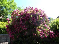 P1020958