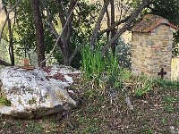 24 - apparizione Madonna