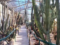 31  -  SERRA PIANTE GRASSE