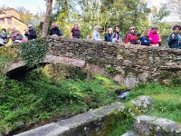 13  -  PONTE SUL VISONA