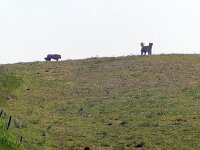 P1020929
