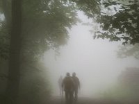 Nebbia 2